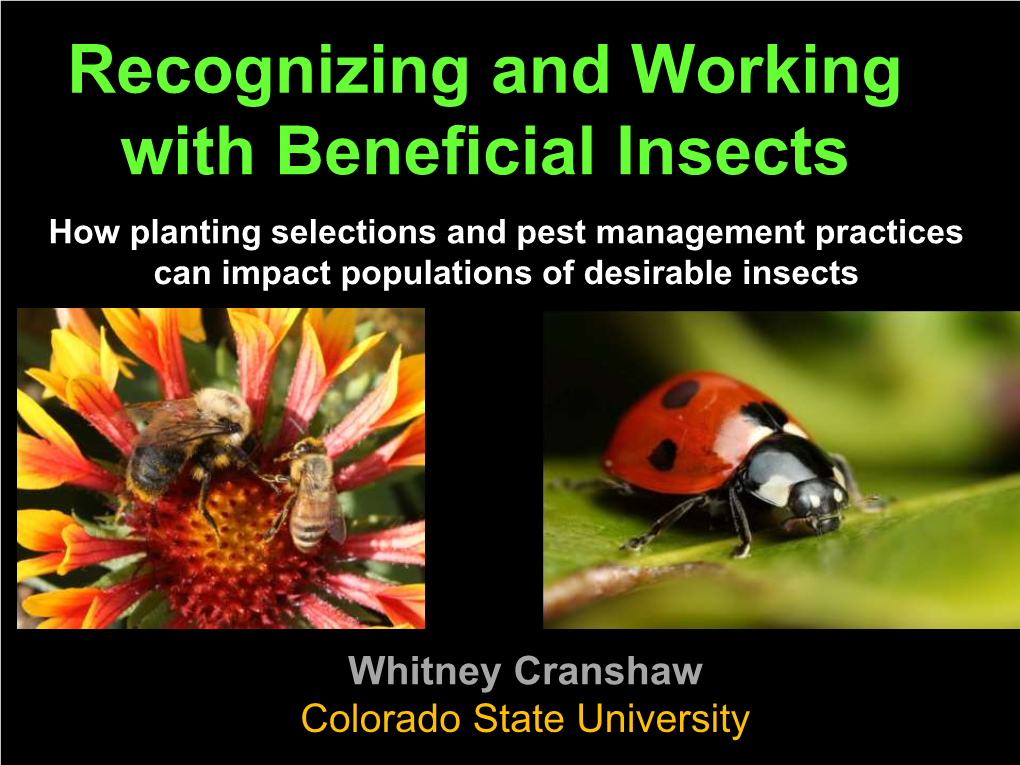 Recognizing and Working with Beneficial Insects How Planting Selections and Pest Management Practices Can Impact Populations of Desirable Insects