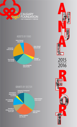 Grants by Sector Assets by Fund