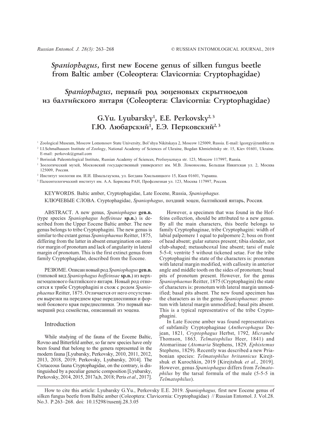 Spaniophagus, First New Eocene Genus of Silken Fungus Beetle from Baltic Amber (Coleoptera: Clavicornia: Cryptophagidae)