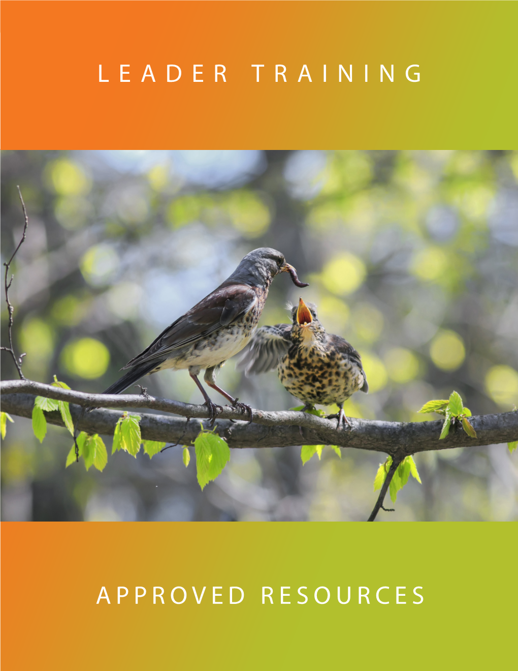 Leader Training Approved Resources