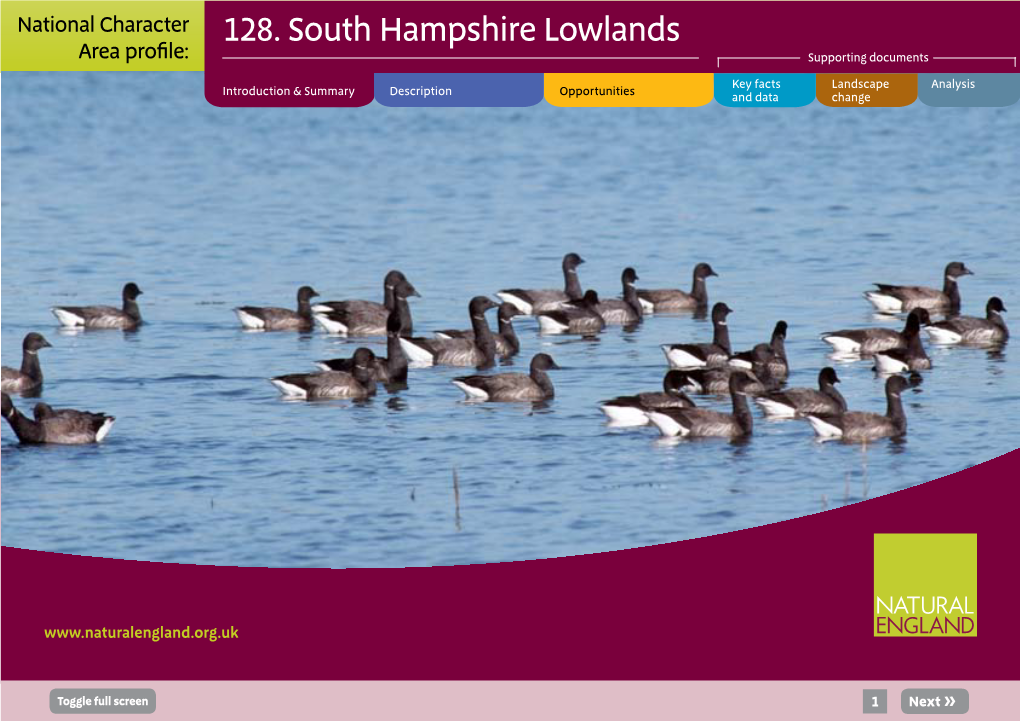 NCA Profile:128 South Hampshire Lowlands