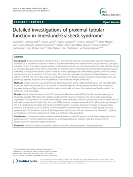 Detailed Investigations of Proximal Tubular Function in Imerslund-Gräsbeck Syndrome