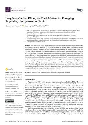 Long Non-Coding Rnas, the Dark Matter: an Emerging Regulatory Component in Plants