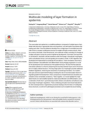 Multiscale Modeling of Layer Formation in Epidermis