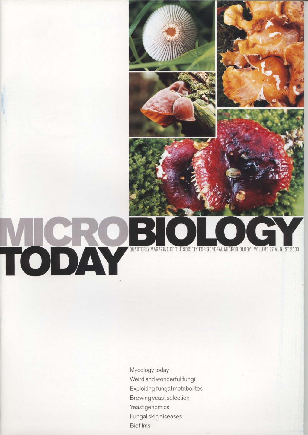 Mycology Today Weird and Wonderfu I Fu Ngi Exploiti Ng Fu Ngal Metabolites Brewi N G Yeast Selection Yeast Genomics Fungal Skin
