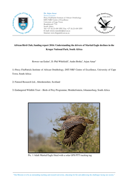 Martial Eagle Declines in the Kruger National Park, South Africa