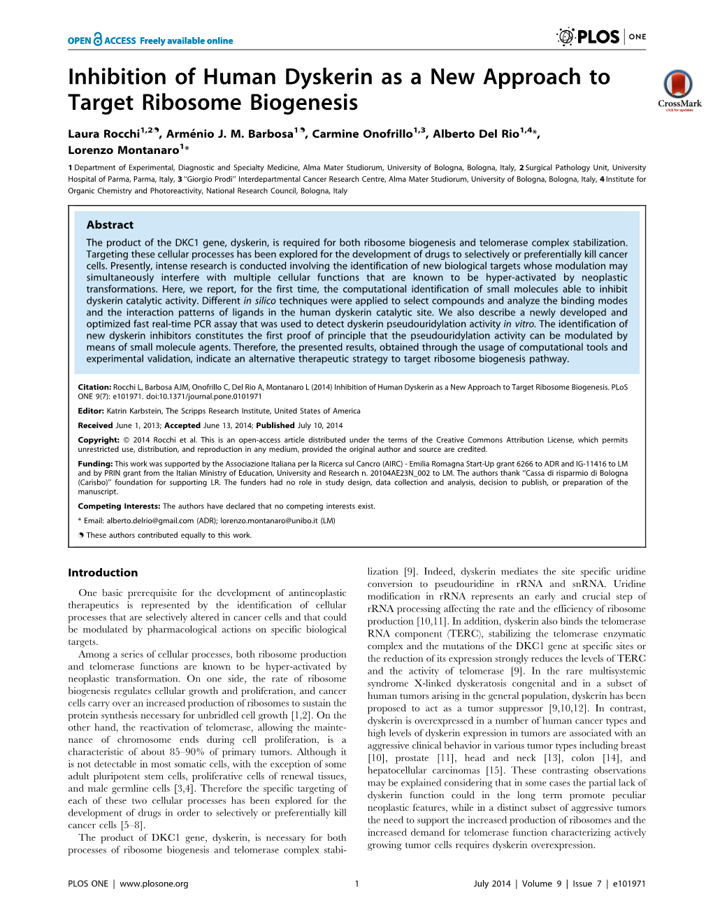 Inhibition of Human Dyskerin As a New Approach to Target Ribosome Biogenesis