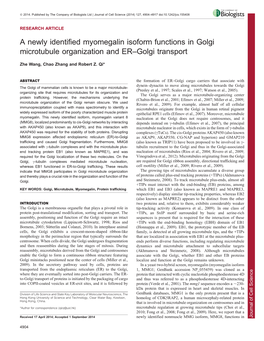 A Newly Identified Myomegalin Isoform Functions in Golgi Microtubule Organization and ER–Golgi Transport