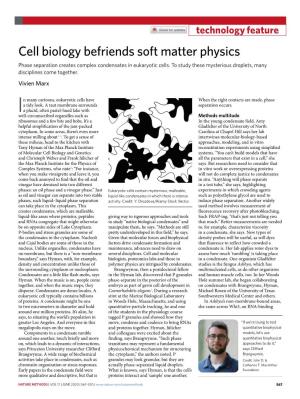 Cell Biology Befriends Soft Matter Physics Phase Separation Creates Complex Condensates in Eukaryotic Cells