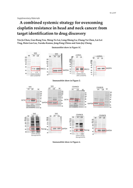 A Combined Systemic Strategy for Overcoming Cisplatin Resistance in Head and Neck Cancer: from Target Identification to Drug Discovery