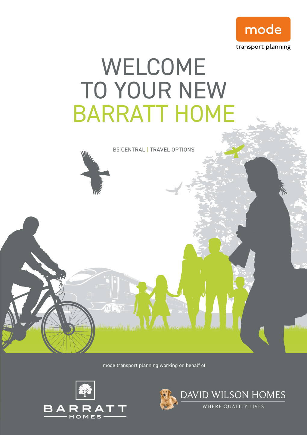 Singles-Barratt-Homes-B5-Central.Pdf