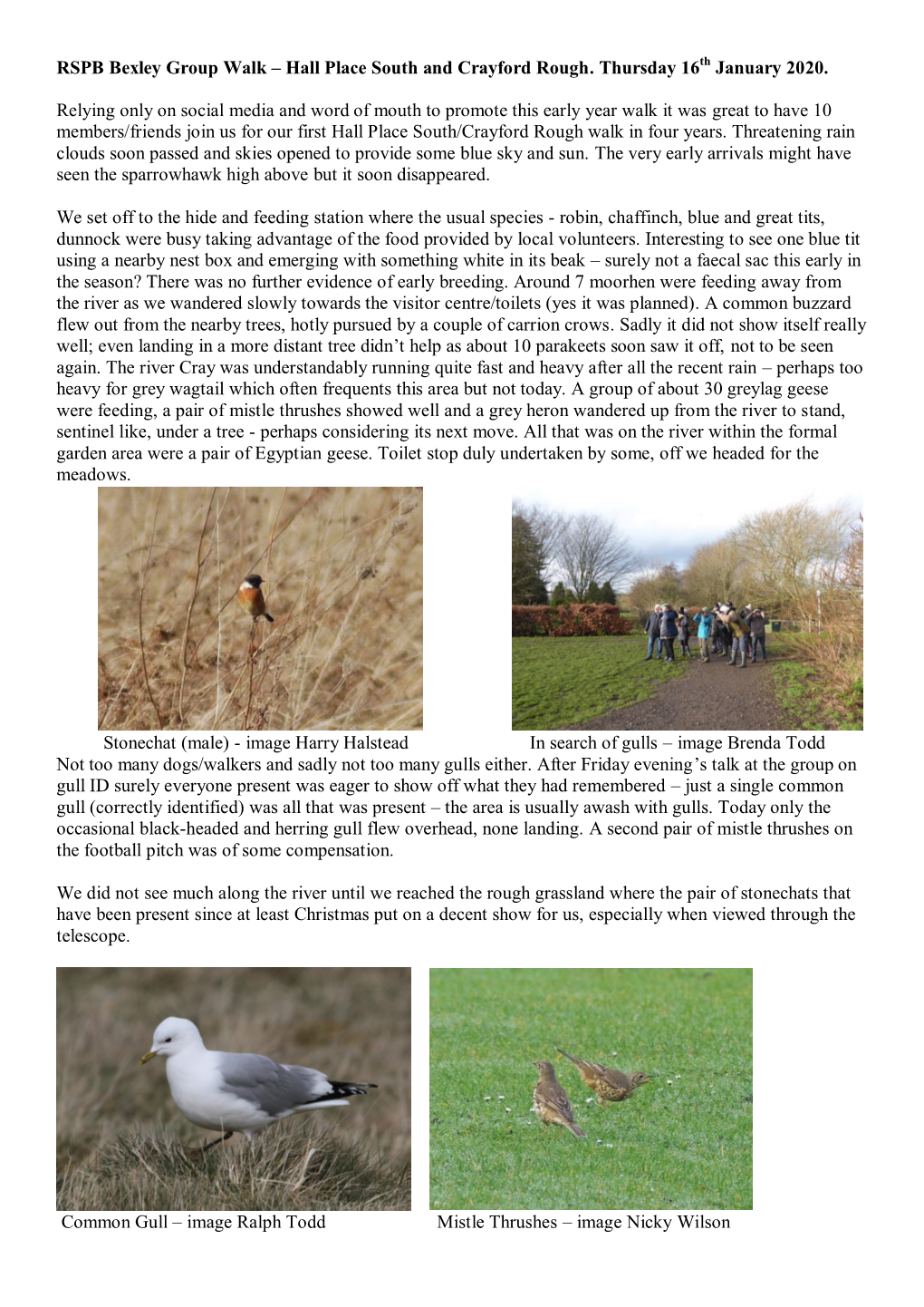 RSPB Bexley Group Walk – Hall Place South and Crayford Rough