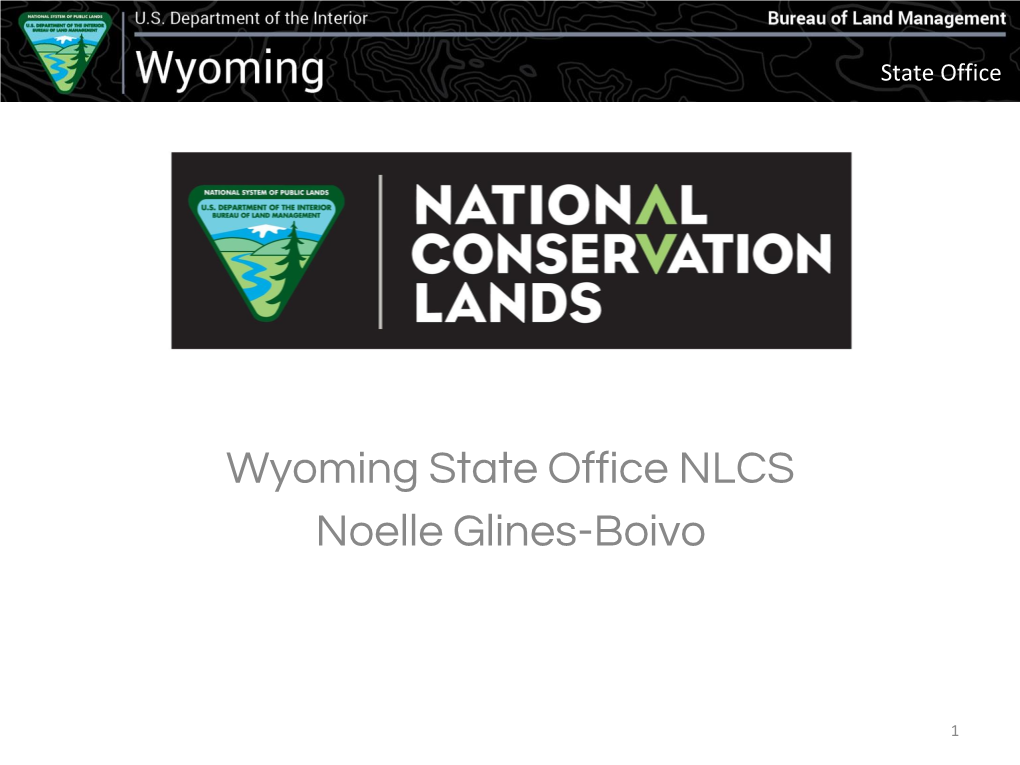 BLM WY NLCS Overview