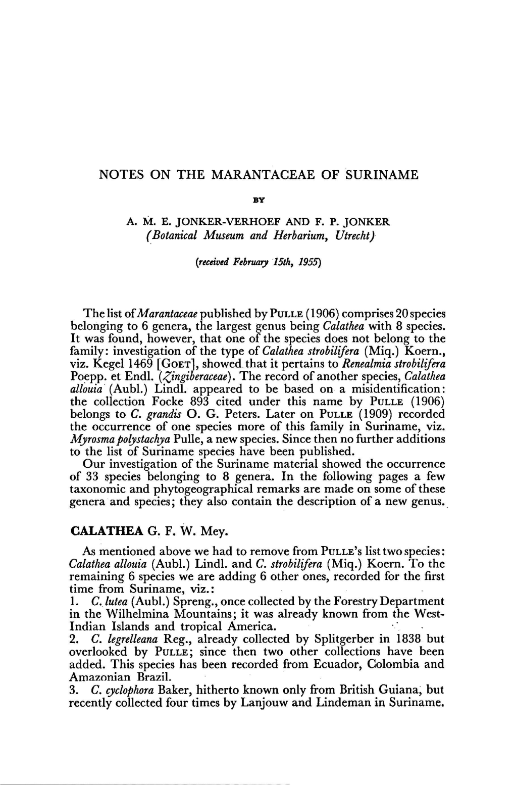 Notes on the Marantaceae of Suriname