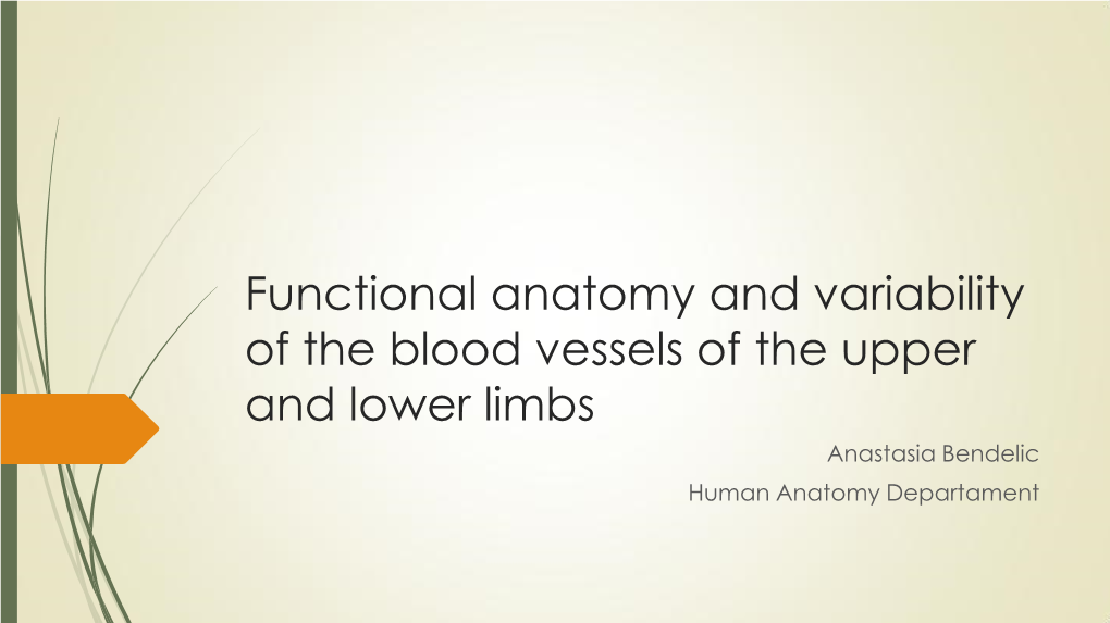 Functional Anatomy and Variability of the Blood Vessels of Lower Limb