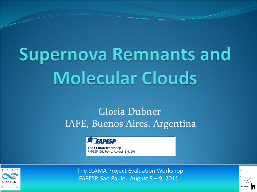 Supernova Remnants and Molecular Clouds