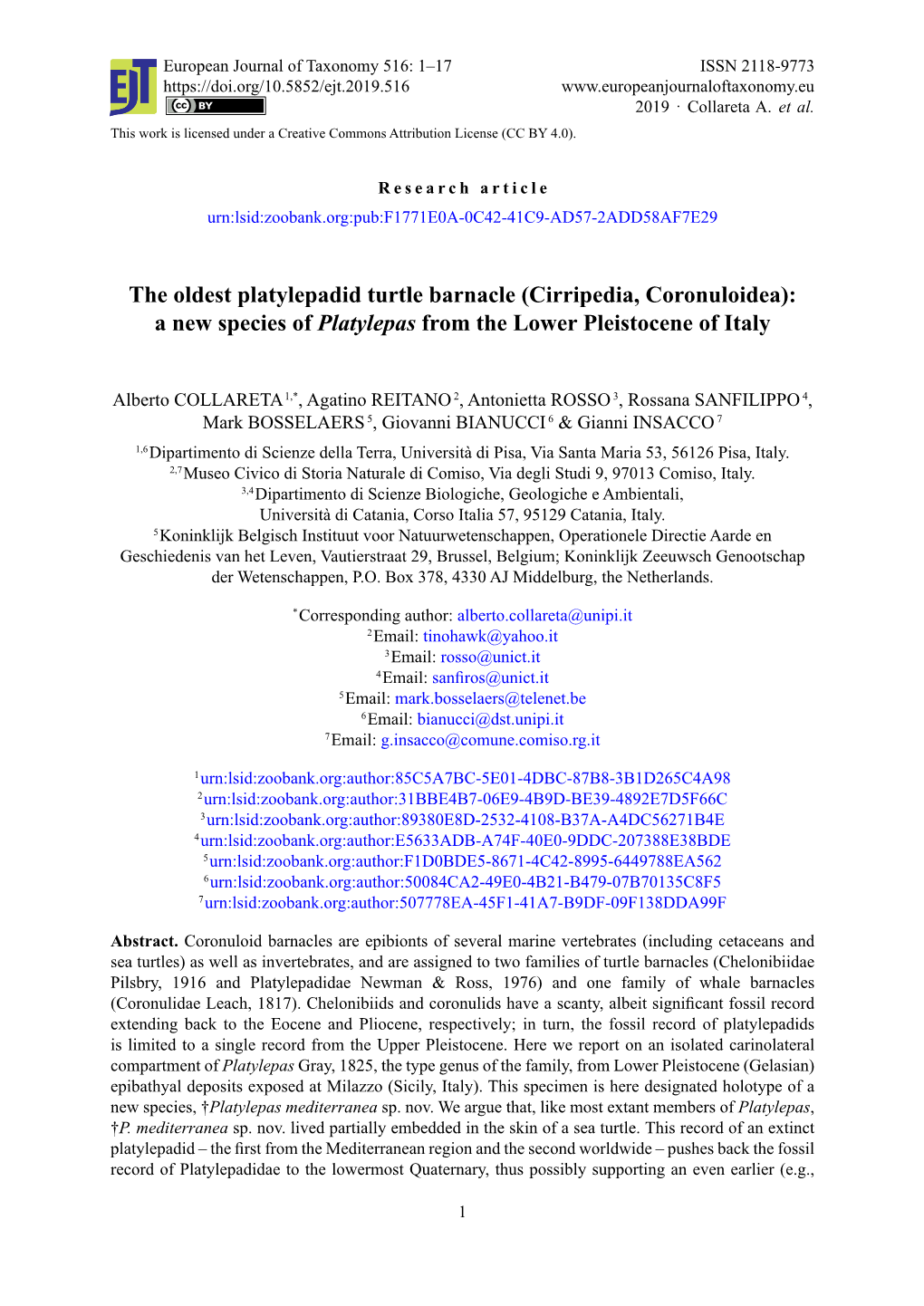 The Oldest Platylepadid Turtle Barnacle (Cirripedia, Coronuloidea): a New Species of Platylepas from the Lower Pleistocene of Italy