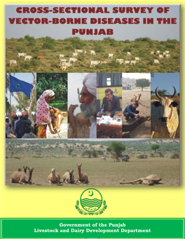 Government of the Punjab Livestock and Dairy Development Department 1
