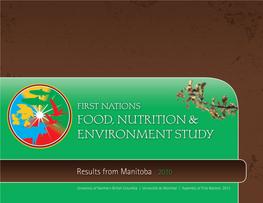 FNFNES Manitoba Regional Report ENGLISH