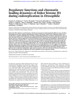 Regulatory Functions and Chromatin Loading Dynamics of Linker Histone H1 During Endoreplication in Drosophila