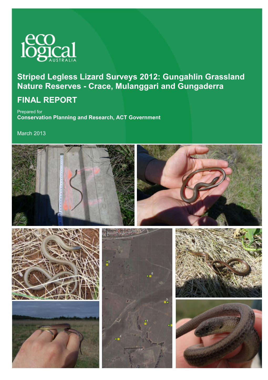 Striped Legless Lizard Surveys 2012: Gungahlin Grassland Nature Reserve Areas