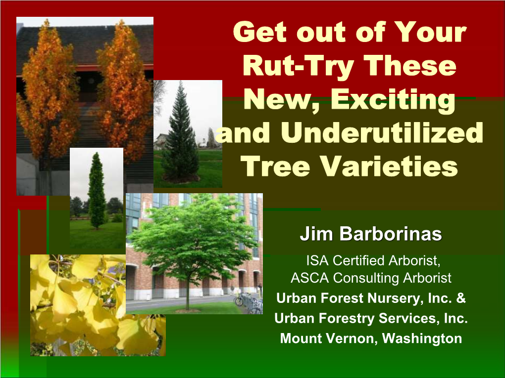 Get out of Your Rut-Try These New, Exciting and Underutilized Tree Varieties