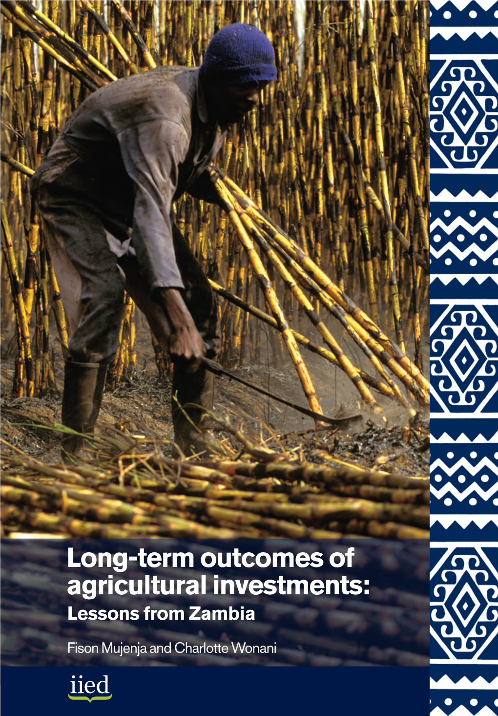 Long-Term Outcomes of Agricultural Investments: Lessons from Zambia