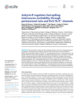 Ankyrin-R Regulates Fast-Spiking Interneuron Excitability Through