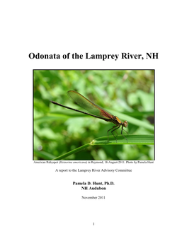 Odonata of the Lamprey River, NH