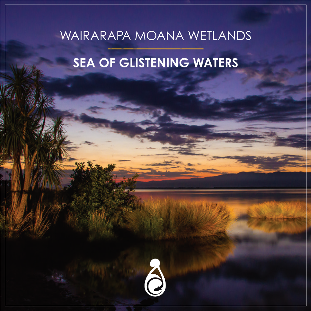 Wairarapa Moana Wetlands Sea of Glistening Waters