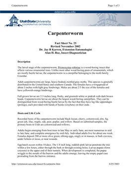Carpenterworm Page 1 of 3