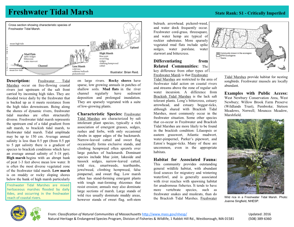 Freshwater Tidal Marsh State Rank: S1 - Critically Imperiled