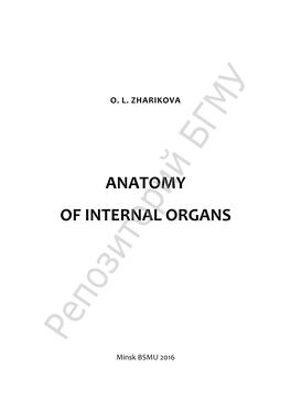 Anatomy of Internal Organs