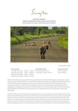 WILDLIFE JOURNAL SINGITA KRUGER NATIONAL PARK, SOUTH AFRICA for the Month of January, Two Thousand and Nineteen