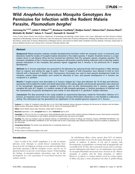 Parasite, Plasmodium Berghei