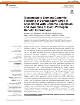 Transposable Element Genomic Fissuring in Pyrenophora Teres Is Associated with Genome Expansion and Dynamics of Host–Pathogen Genetic Interactions