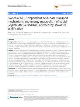 Branchial NH4 -Dependent Acid-Base Transport Mechanisms and Energy Metabolism of Squid (Sepioteuthis Lessoniana) Affected By