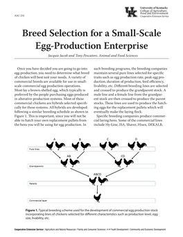 Breed Selection for a Small-Scale Egg Production Enterprise