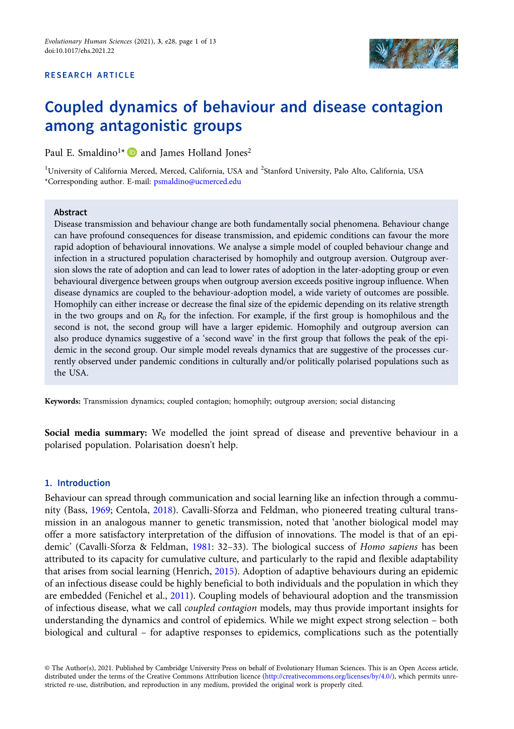 Coupled Dynamics of Behaviour and Disease Contagion Among Antagonistic Groups
