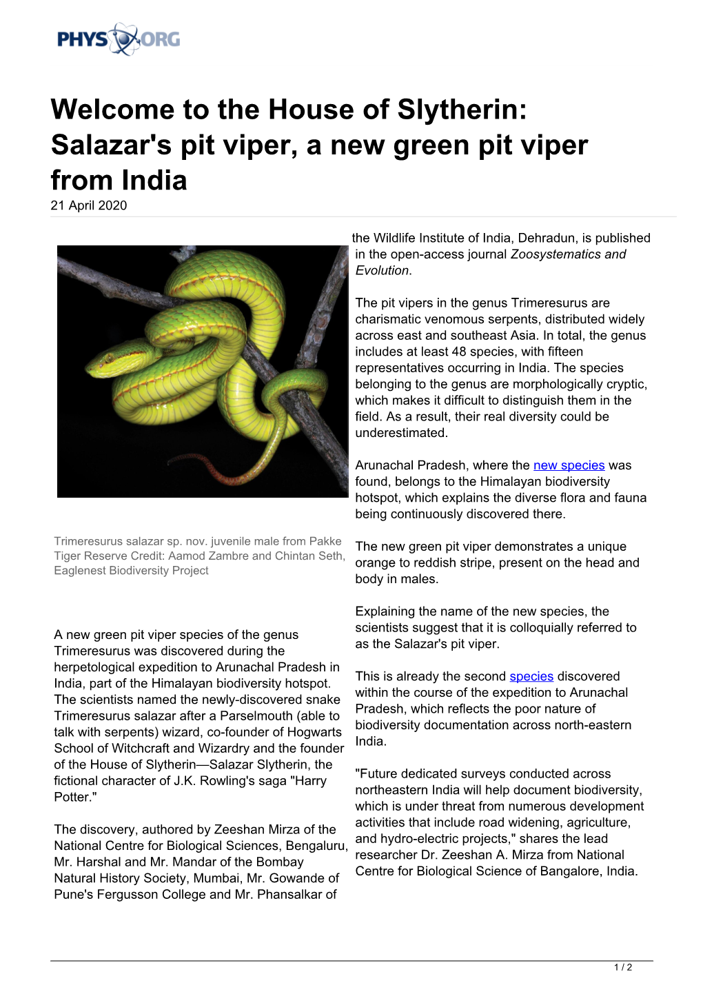 Welcome to the House of Slytherin: Salazar's Pit Viper, a New Green Pit Viper from India 21 April 2020
