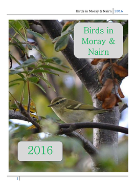 Birds in Moray & Nairn 2016