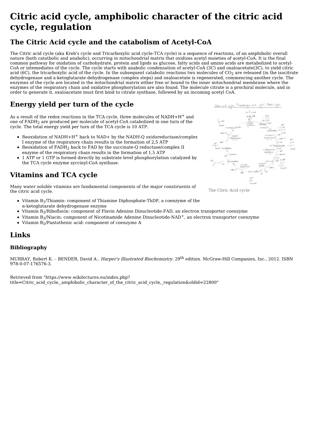 citric-acid-cycle-amphibolic-character-of-the-citric-acid-cycle