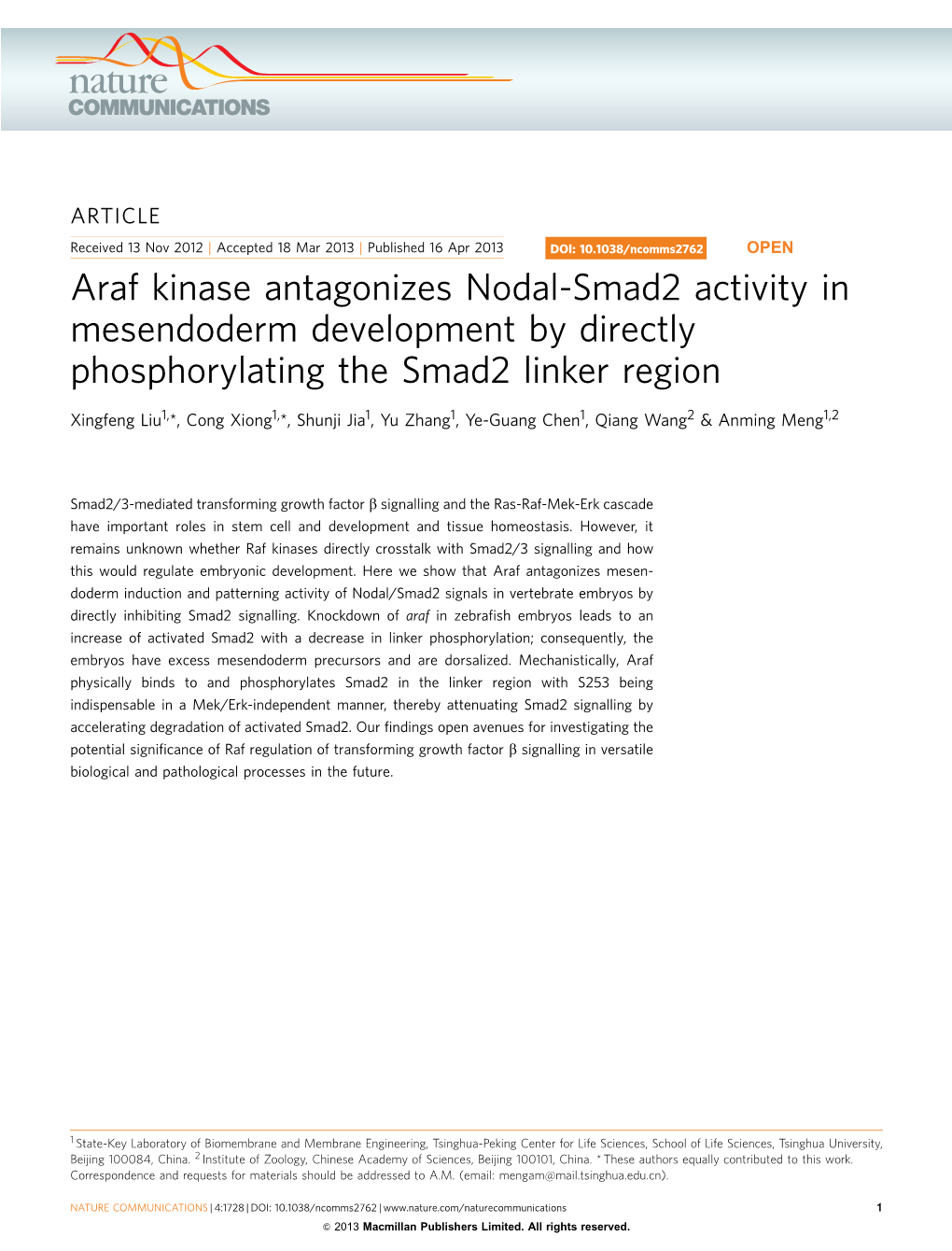 Araf Kinase Antagonizes Nodal-Smad2 Activity in Mesendoderm Development by Directly Phosphorylating the Smad2 Linker Region