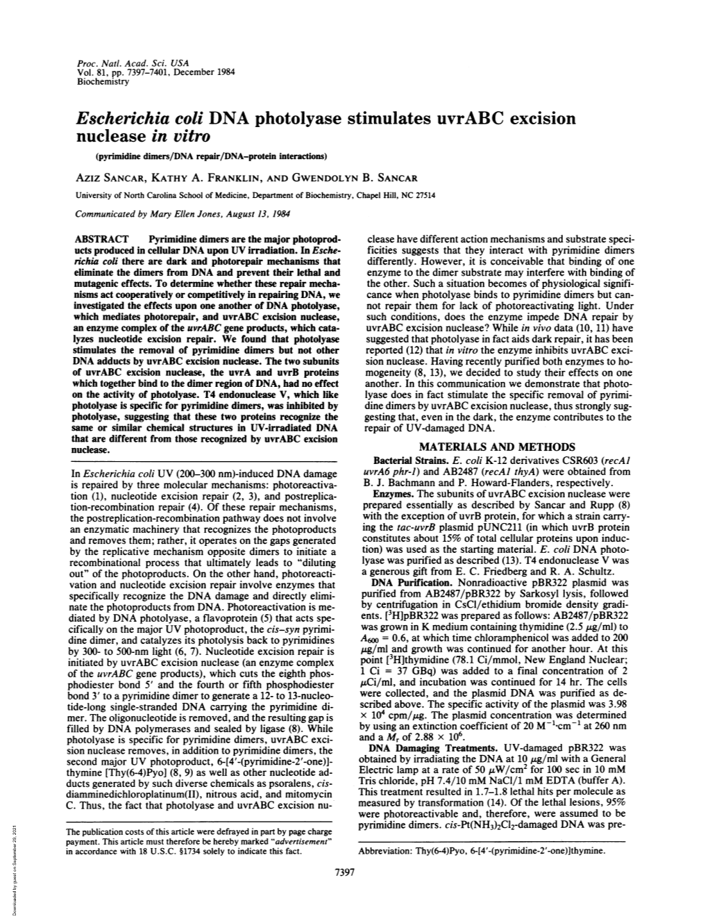 Escherichia Coli DNA Photolyase Stimulates Uvrabc Excision Nuclease in Vitro (Pyrimidine Dimers/DNA Repair/DNA-Protein Interactions) Aziz SANCAR, KATHY A