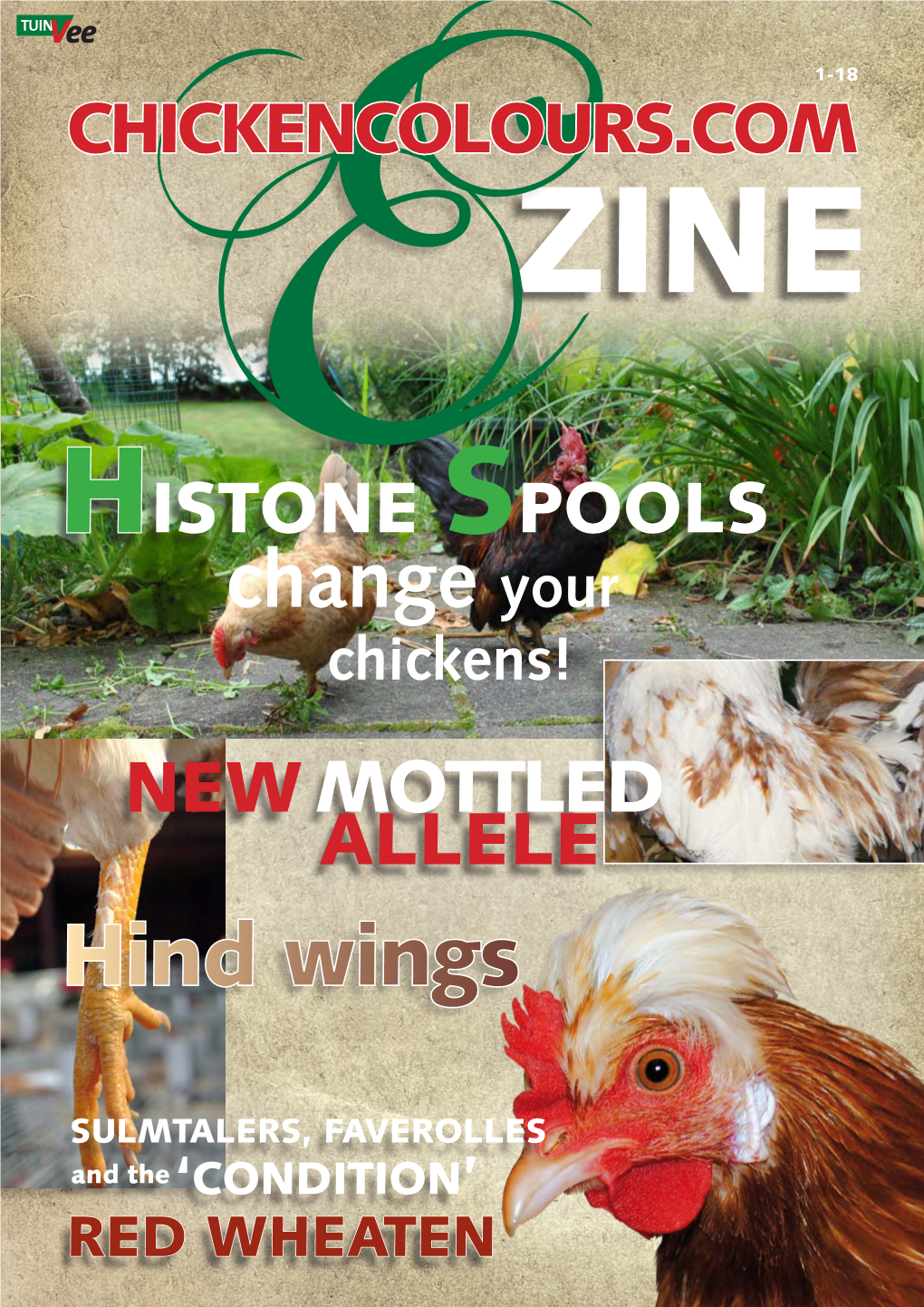 E-Zine-Chickencolours