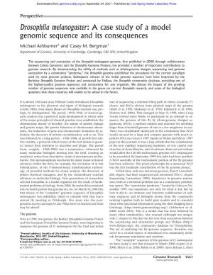 Drosophila Melanogaster: a Case Study of a Model Genomic Sequence and Its Consequences
