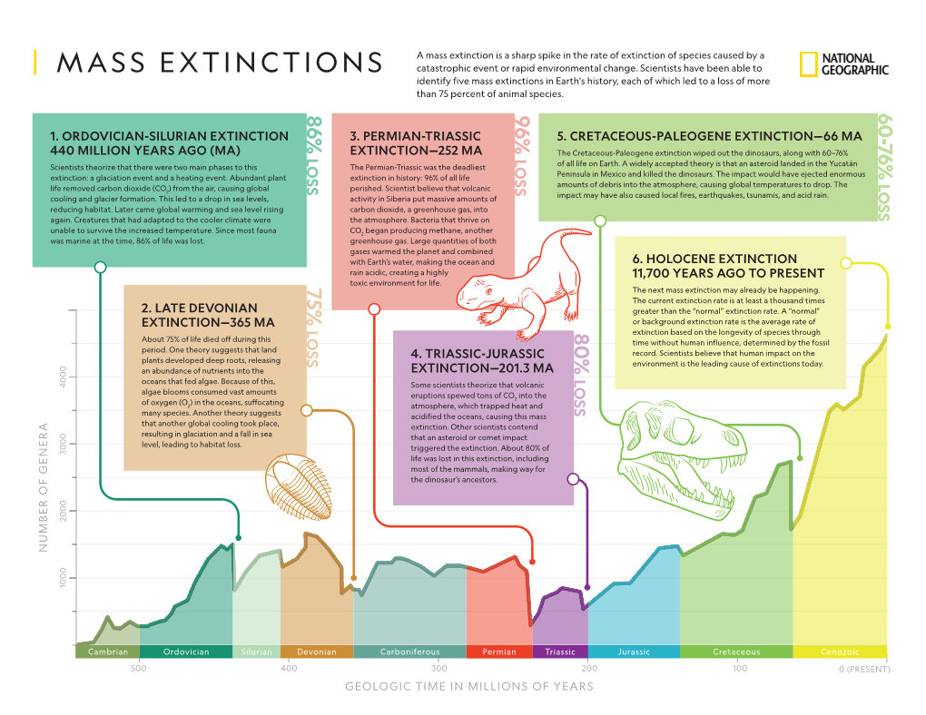 Mass Extinctions