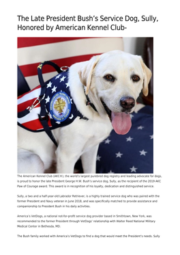 The Late President Bush&#8217;S Service Dog, Sully, Honored By