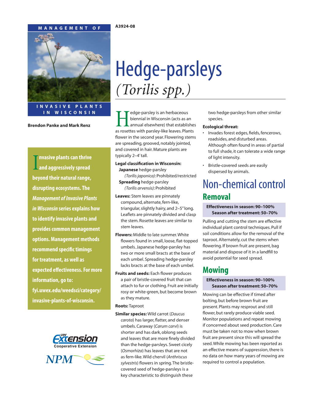 Japanese Hedge Parsley Fact Sheet