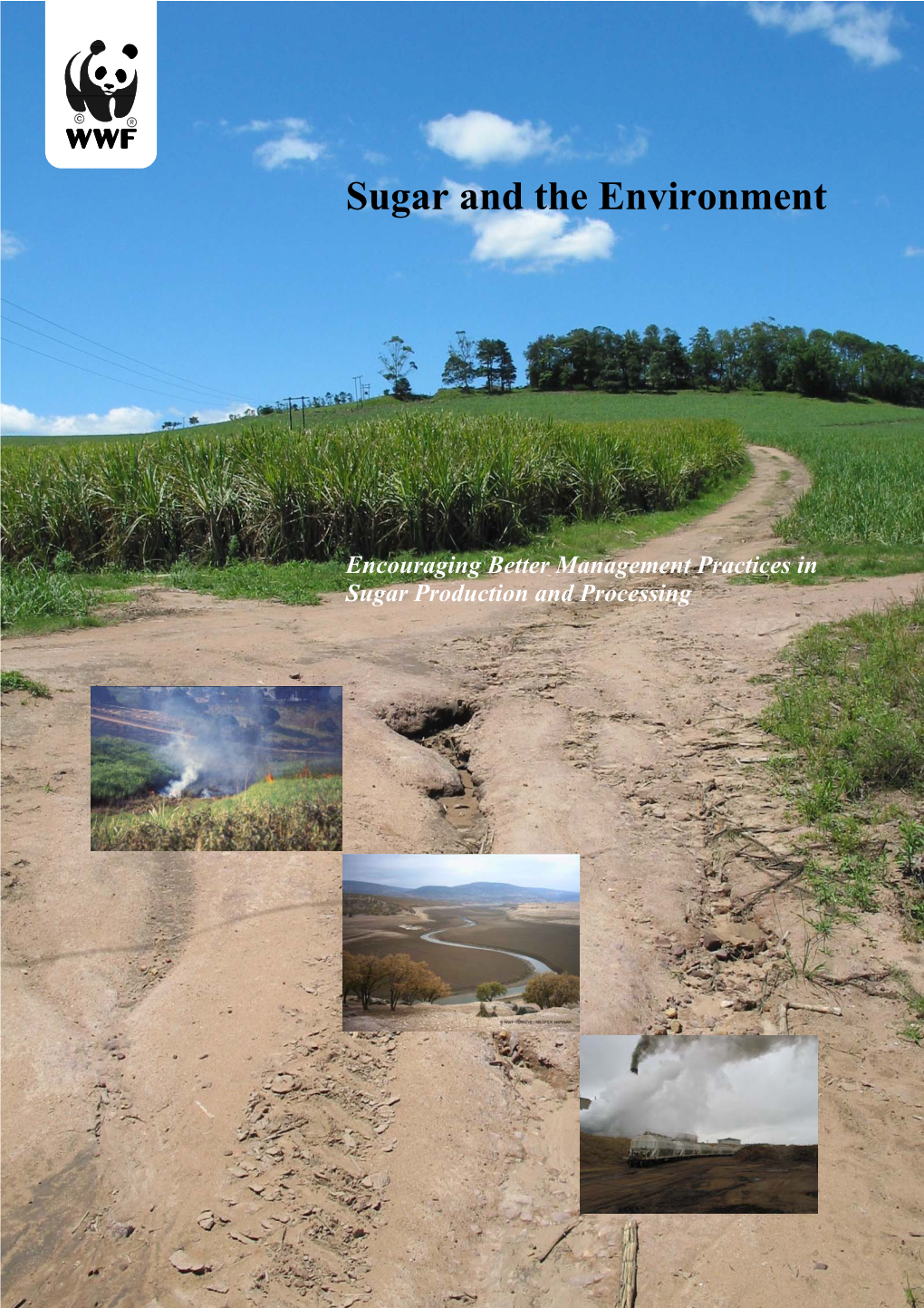 Encouraging Better Management Practices in Sugar Production and Processing Water Abstraction for Sugarcane Irrigation